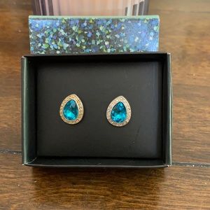 Beautiful blue earrings